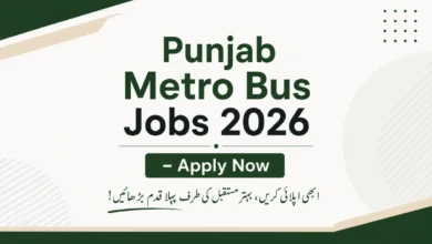 Punjab Metro Bus Announces Jobs