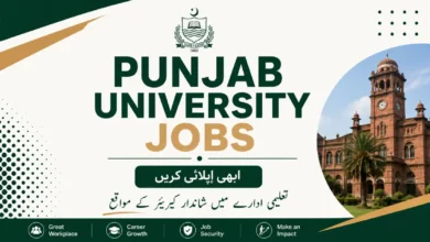 Punjab University Jobs